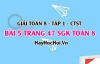 Giải bài 5 trang 47 Toán 8 Tập 1 SGK Chân trời sáng tạo